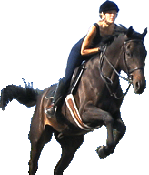 Horse and Rider